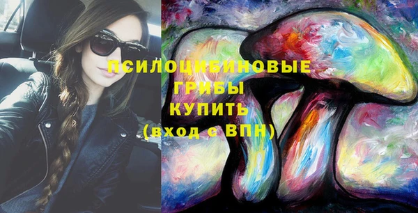 apvp Нея