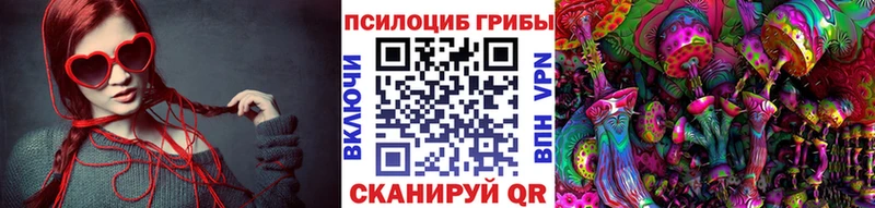 где найти Надым Псилоцибиновые грибы Psilocybe